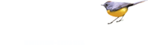 Curicancha logo